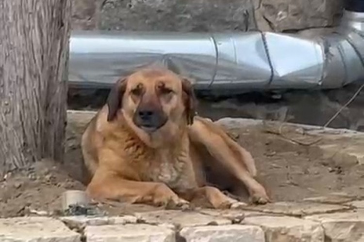 Bursa'da ezan okunurken yaşananlar dikkat &ccedil;ekti