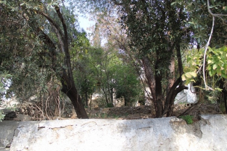 Aydın'ın 'Beybaba'sının mezarı 105 yıl sonra a&ccedil;ığa &ccedil;ıktı
