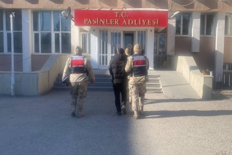 Jandarma b&uuml;y&uuml;kbaş hayvan hırsızlarını kısa s&uuml;rede yakaladı