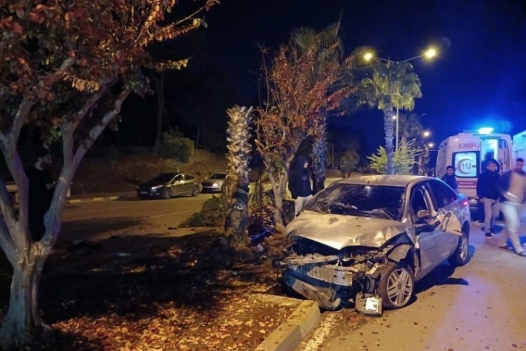 Palmiyeye &ccedil;arpan otomobilin s&uuml;r&uuml;c&uuml;s&uuml; yaralandı