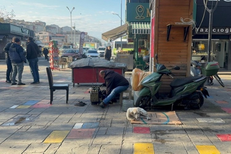 Hayata tutunan engelli k&ouml;peğe bebek gibi bakıyor