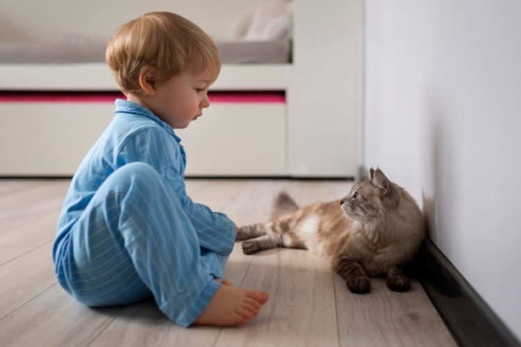 Evinizde bunlardan varsa hemen atın! Zehirliyor...