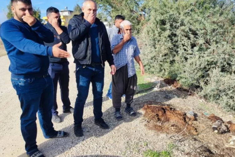 Mide bulandıran g&ouml;r&uuml;nt&uuml;ler! Dere yatağı at ve eşek kalıntılarıyla doldu