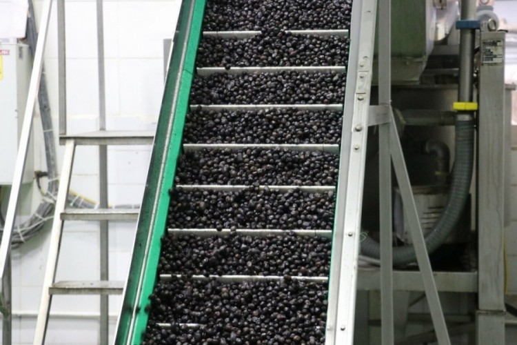 Bursa'nın markasından bir yenilik daha!