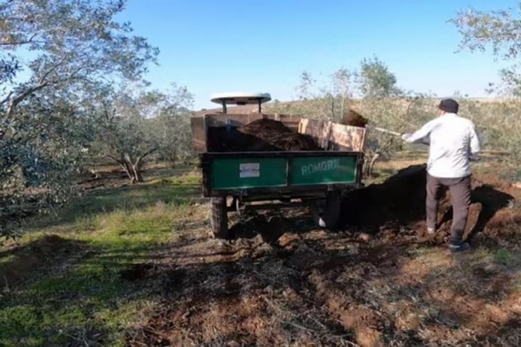 Bursa'da maliyetlerden kaçan üreticiler kara gübreye yö...
