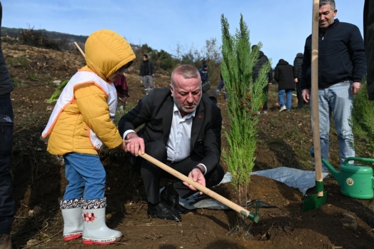 Bursa Karacabey'de yangın sonrası ilk fidanlar toprakla...