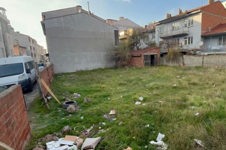 Boş arsada çok sayıda kedi ölü bulundu!