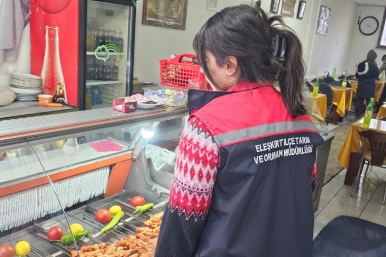 Gıda g&uuml;venliği &ccedil;alışmaları kapsamında 750 işletme kontrolden ge&ccedil;ti