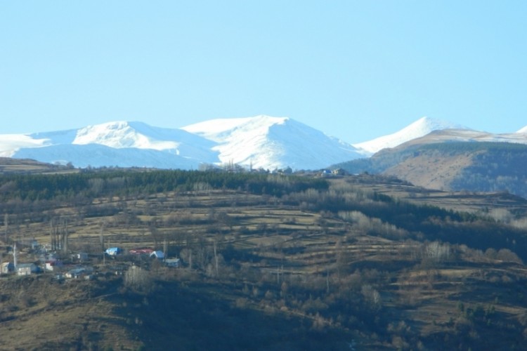 Posof'ta yeşil ve beyazın buluşması