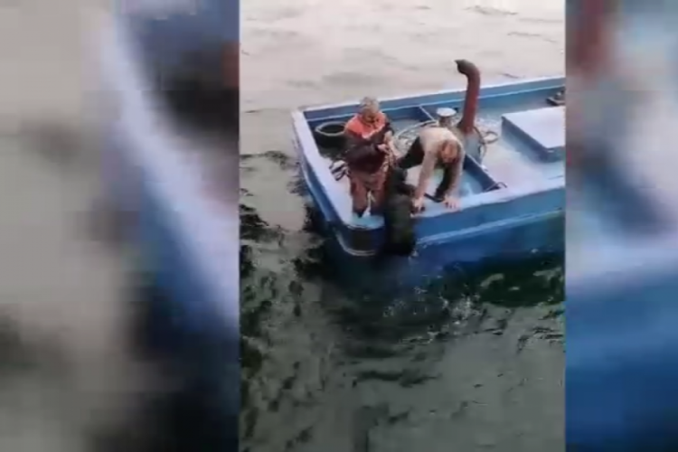 &Ccedil;anakkale'de denize d&uuml;şen k&ouml;pek balık&ccedil;ılar tarafından kurtarıldı