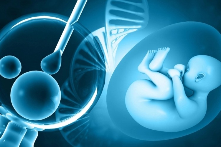 Kahreden hikaye! Tüp bebek umudu yatırılan bir bahiste ...