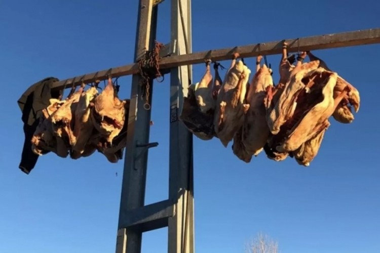 Bölge halkının beklediği an geldi çattı! Tanesini 6 bin...