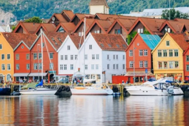 148 bin liraya deneyimsiz eleman arıyorlar: Sadece 1 şa...