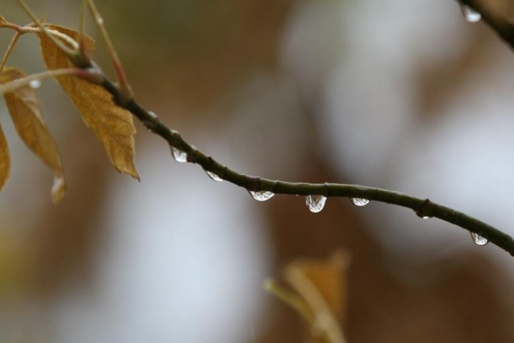 Yağışlar Bursalıların yüzünü güldürdü