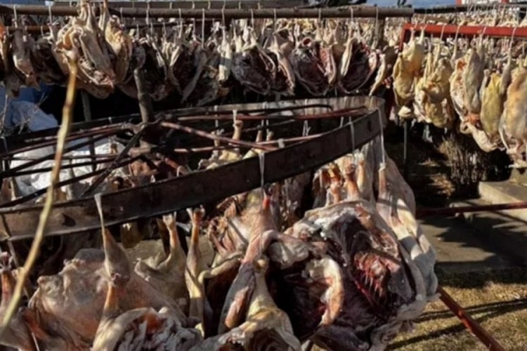 900 tanesini sıra sıra dizdi: 10 yıldır aynı şeyi yapıyor