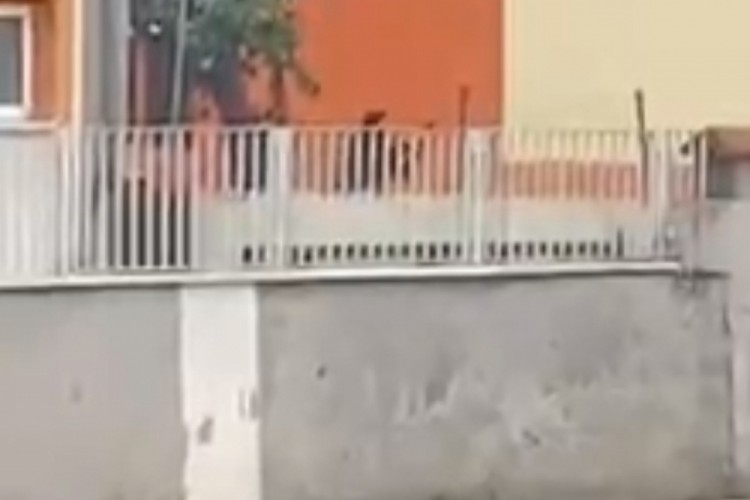 Eski sevgilisiyle konuşmak i&ccedil;in geldiği okul &ouml;n&uuml;nde intihara kalkıştı