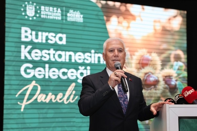 Bursa kestanesine B&uuml;y&uuml;kşehir'den destek