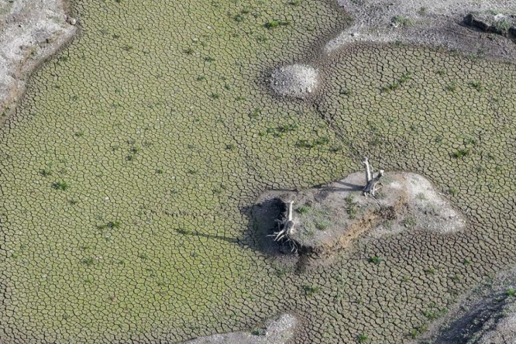 İzmir'de barajlar alarm veriyor: Yüzde 1'in altına düştü