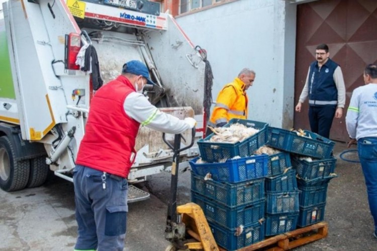 Adana'da ele ge&ccedil;irildi; 25 kasa dolusu ve kokmuş...