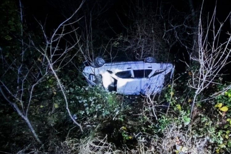 Artvin'de otomobil u&ccedil;uruma yuvarlandı: 4 yaralı