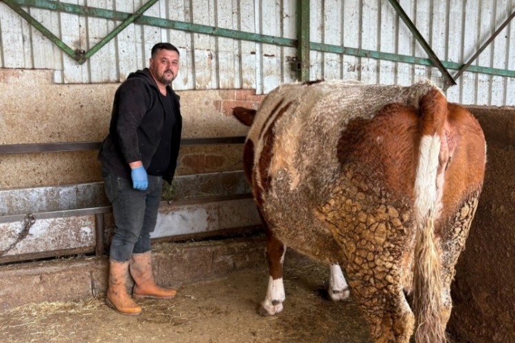 Bursa'da hastalığa bir kurban daha verildi!