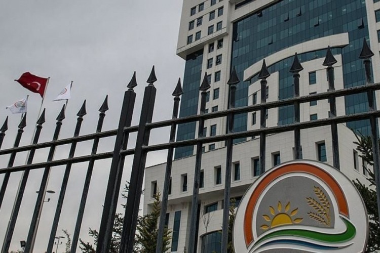 K&ouml;fte, zeytinyağı, yoğurt, bal... İfşalar devam ediyor!