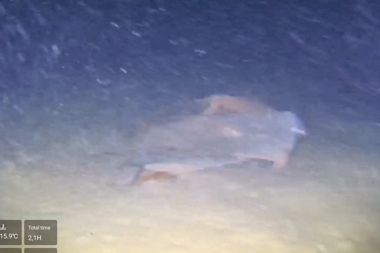 Marmara Denizi'nin dibindeki 50 yıllık 'Bursa'nın sırrı...