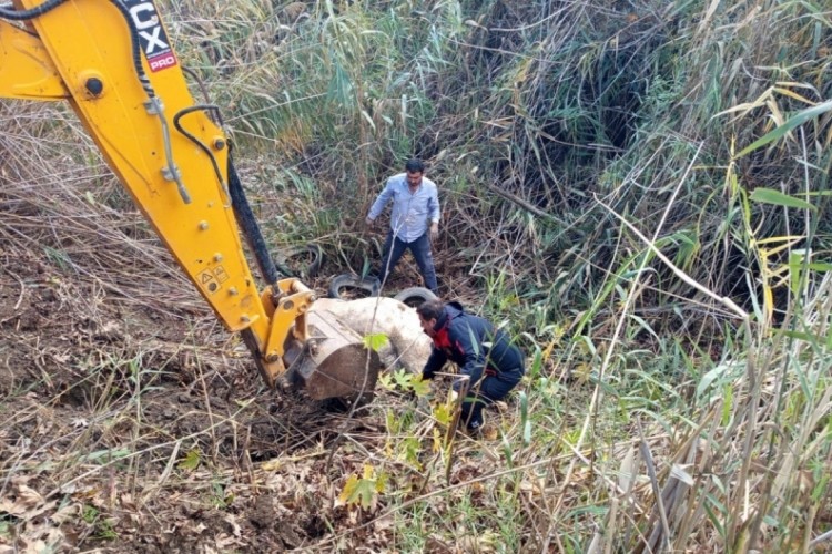 Dereye düşen inek itfaiye ekipleri tarafından kurtarıldı