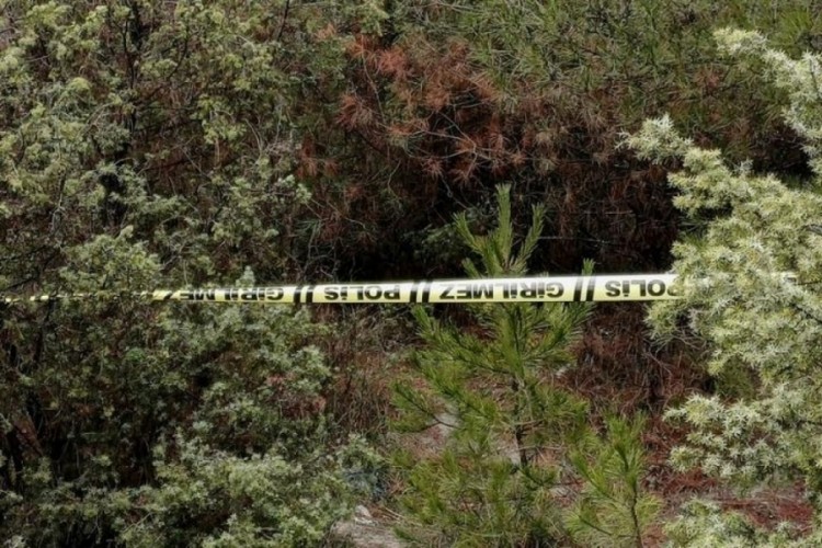 Kendisinden haber alınamayan kişi ormanlık alanda ölü b...