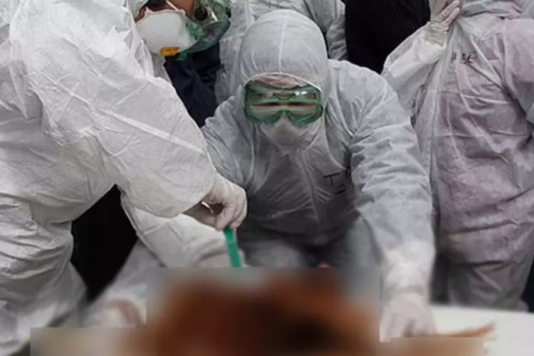 Yeni salgın kapıda! Durdurmak için son 10 gün