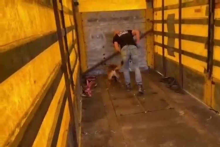 Tırın tabanına binlerce uyuşturucu hap sakladılar