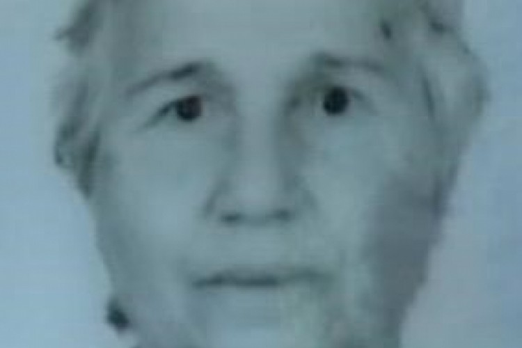 Yolda fenalaşan yaşlı kadın hayatını kaybetti