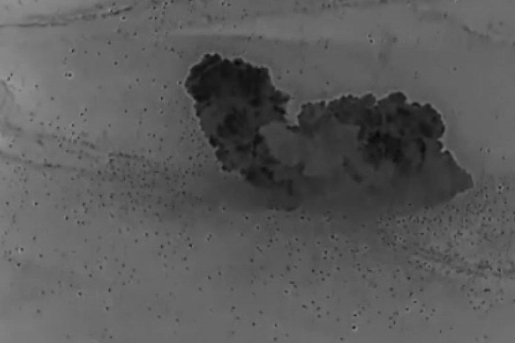 ABD ordusu, saldırıların görüntülerini yayınladı