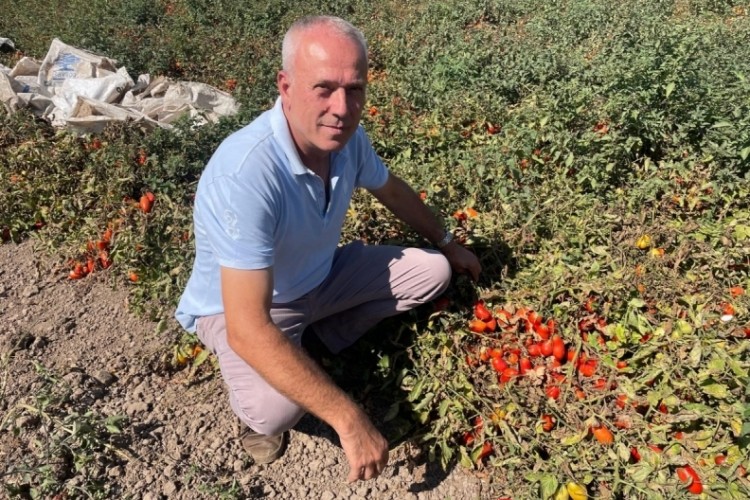 Bursa'da muhtarlık seçimiyle verilen isim: Duyanlar bir daha soruyor...