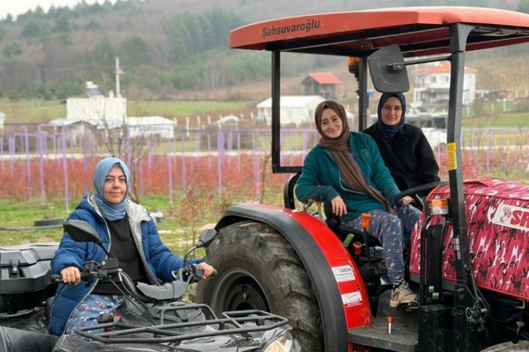 Bursa'da kadın eli değdi, "mavi mucize" başladı