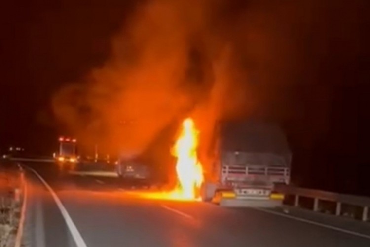 Erzincan'da seyir halindeki tır alev alev yandı