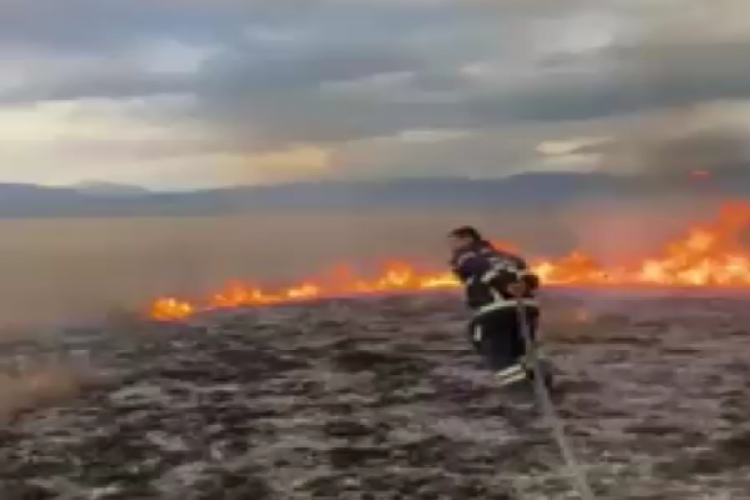 150 d&ouml;n&uuml;m arazi yandı