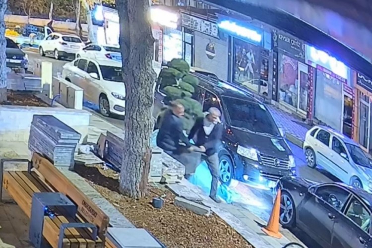 Bu da ağa&ccedil; hırsızlığı: Parktaki ağacı ara&ccedil;la &ccedil;aldılar
