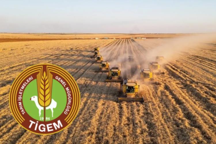 TİGEM 254 s&uuml;rekli iş&ccedil;i alımı başvuruları ne zaman, şartları neler? Kadro dağılımı a&ccedil;ıklandı
