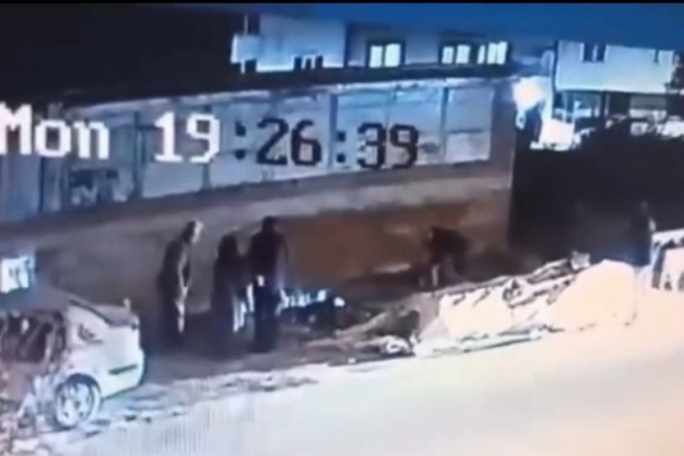 Bursa'da sokak köpeği dehşeti: 3 kişi yaralandı...