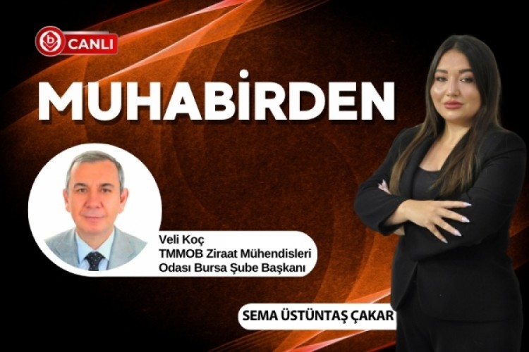 Sema &Uuml;st&uuml;ntaş &Ccedil;akar ile Muhabirden'in konuğu; Veli Ko&ccedil;