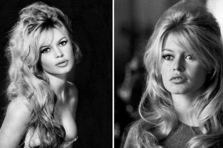 Efsane sanat&ccedil;ı Brigitte Bardot yaşama veda etti