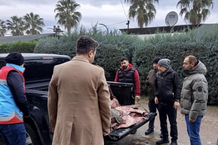 Sinop'ta ka&ccedil;ak avlanan 625 kalkan balığı vatandaşlara dağıtıldı