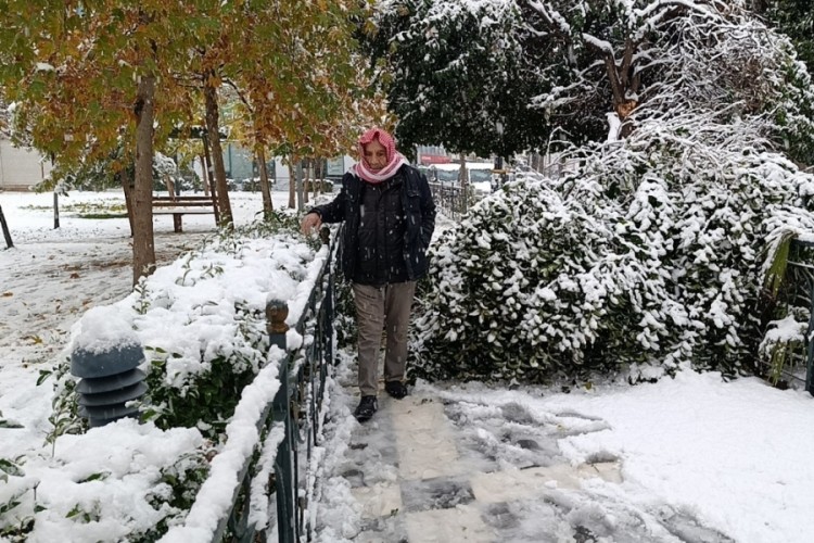 Şanlıurfa'da kar yağışı nedeniyle ağa&ccedil; devrildi