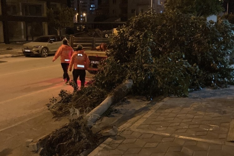 Şiddetli r&uuml;zgar ağa&ccedil;ları devirdi