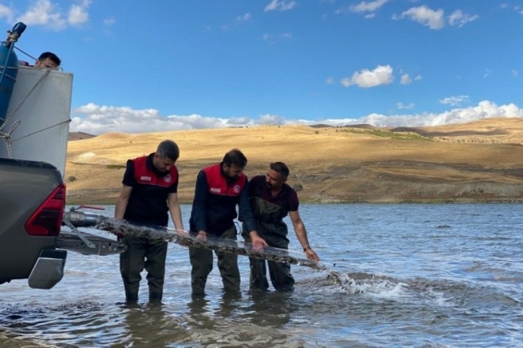 T&uuml;rkiye n&uuml;fusu kadar balık deniz ve g&ouml;llere bırakıldı