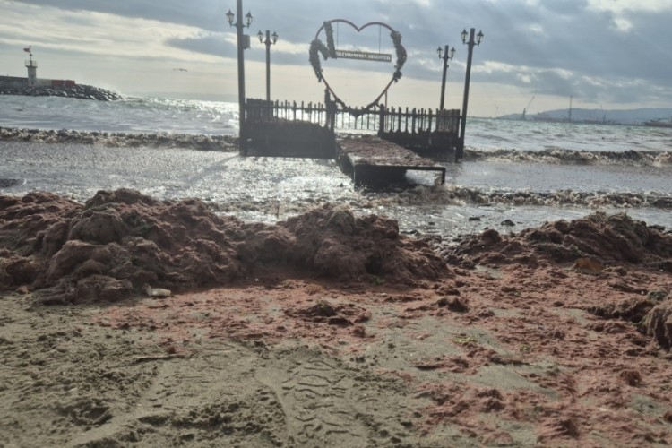 Tekirdağ'da lodos kıyıyı vurdu, kızıl yosunlar sahili kapladı
