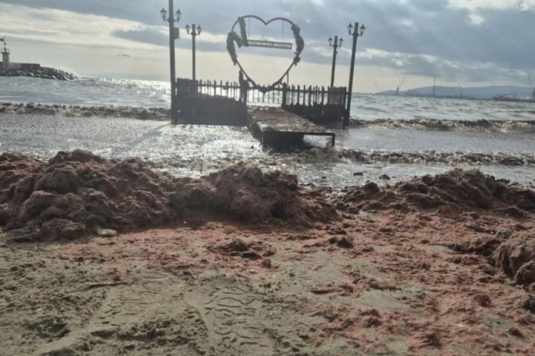 Kızıl alarm; dalgalarla birlikte sahile s&uuml;r&uuml;klendi