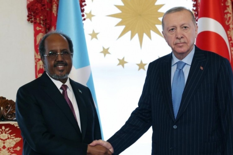 Somali Cumhurbaşkanı: Tehditlerle karşılaşırken T&uuml;rkiye'nin desteğini hissettik