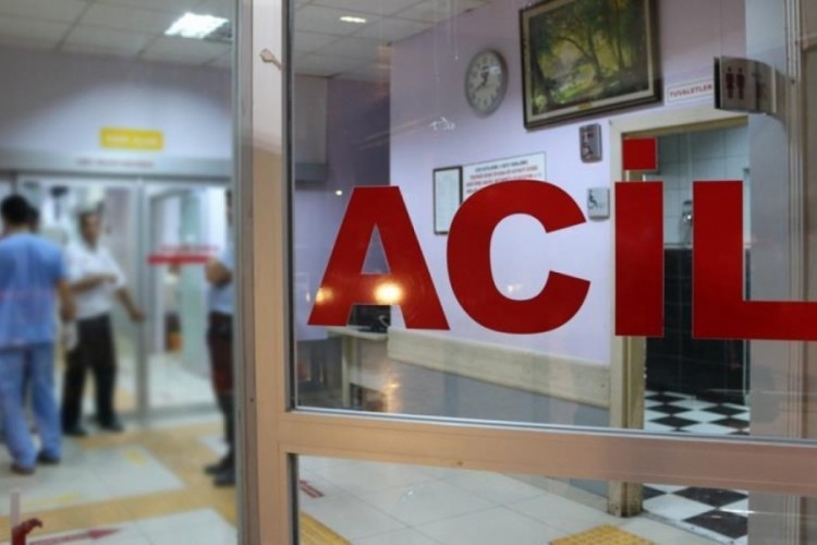 Tokat'ta kestiği ağacın altında kalan kişi hayatını kaybetti...